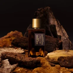 Hot Silky Woods Elixir Perfume, 100 ml Nicheparfumer