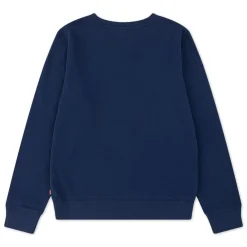 Levi's Teenager Mini Logo Crewneck Sweatshirt, , 14 år-Børn Strik & Sweatshirts