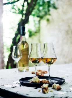New Vinoteque Spirits 2-pak Rom- Eller Whiskeyglas, , 17 cl Glas
