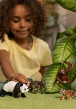 Schleich Wild Life Asia Startsæt-Børn Legetøjsfigurer & Klodser