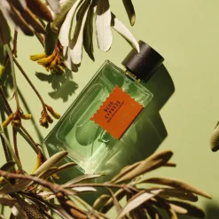 Goldfield & Banks Wood Infusion Perfume, 100 ml- Eau De Parfum|Nicheparfumer