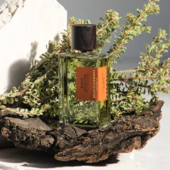 Goldfield & Banks Wood Infusion Perfume, 100 ml- Eau De Parfum|Nicheparfumer