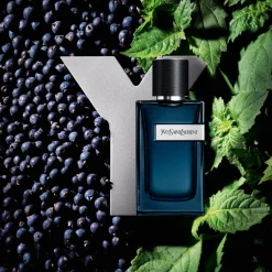 Y Intense Eau De Parfum, 50 ml Eau De Parfum